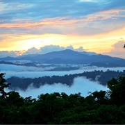 Borneo, Indonesia/Malaysia