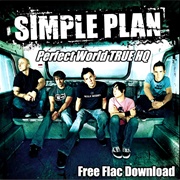 Perfect World - Simple Plan