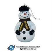 Appalachian University Ornament