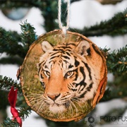 Bengal Tiger Ornament