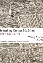 Something Crosses My Mind (Wang Xiaoni)