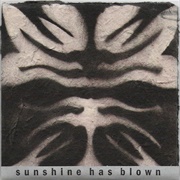 Sunshine Has Blown (2006)