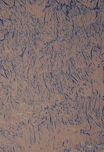 The Extravagant Shadows (2012)