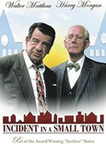 Incident in a Small Town (1994)