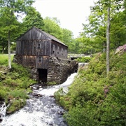 Moore State Park, Massachusetts