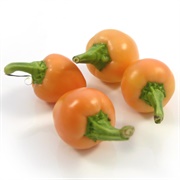 Cherry Bomb Pepper