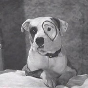 Petey the Pup (The Little Rascals)