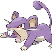 Rattata