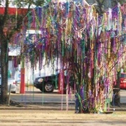 Mardi Gras Bead Tree