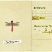 Red Dragonfly