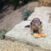 Estes Park, Colorado