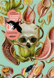 Two Worlds and in Between (Caitlín R. Kiernan)