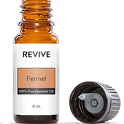 Fennel Essential Oil