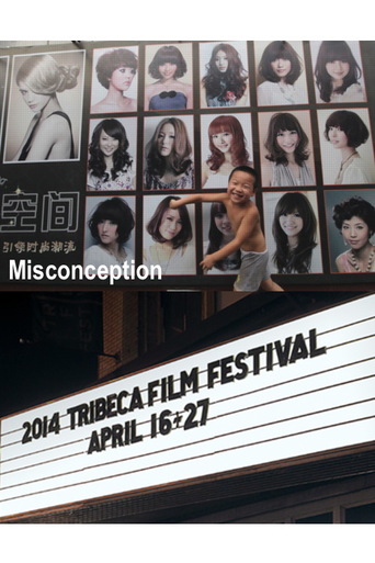 Misconception (2014)