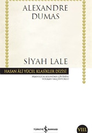 Siyah Lale (A. Dumas)