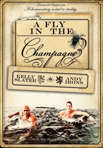 A Fly in the Champagne (2009)