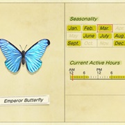 Emperor Butterfly