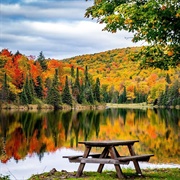 Grand Ledge, Michigan, USA