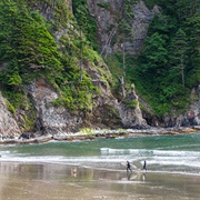 Oswald West Stae Park