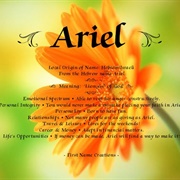Ariel