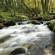 Golitha Falls