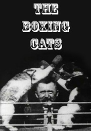 The Boxing Cats (Prof. Welton's) (1894)
