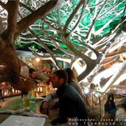 Monteverde Treehouse Cafe
