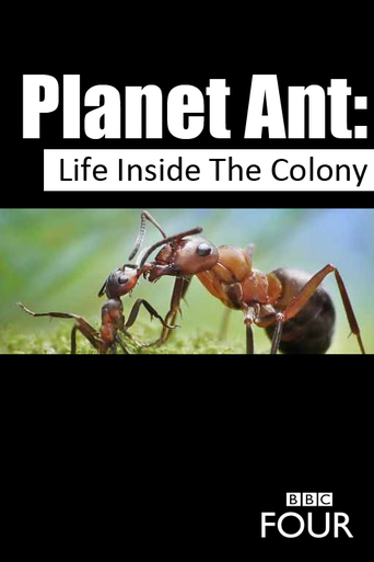 Planet Ant: Life Inside the Colony (2013)