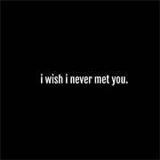 I Wish I Never Met You