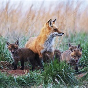 Chester County, Pennsylvania