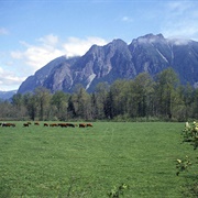 Mt. Si