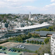 Tamagawa