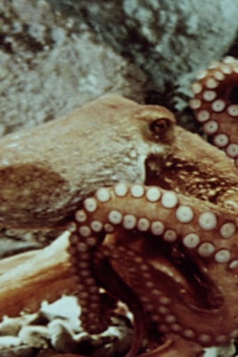 The Love Life of an Octopus (1967)