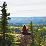 The Cypress Hills (SK)