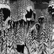 Paysage D'hiver - Schattengang