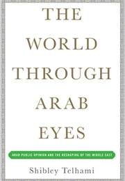 The World Through Arab Eyes: Arab Public Opinion and the Reshaping of the Middle East (Shibley Telhami)