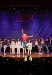 Legally Blonde (Multiple)