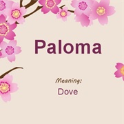 Paloma