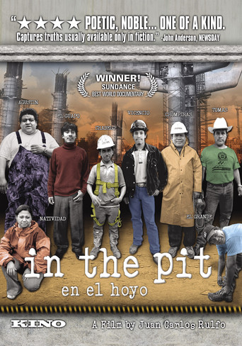In the Pit (2006)