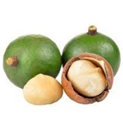Macadamia Fruit