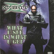 What U See Is What U Get - Xzibit