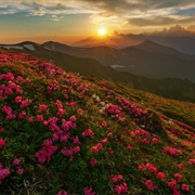 Carpathian National Park