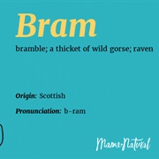 Bram