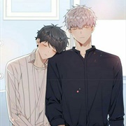 Cherry Blossoms After Winter