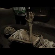 Night of the Mummy