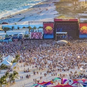 Attend Hangout Music Festival in Alabama