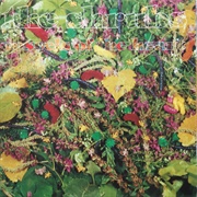 The Shrubs-Vessels of the Heart