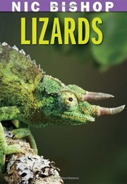 Lizards (Nic Bishop)