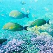 Coron (Palawan), Philippines