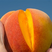 Tropi-Berta Peach